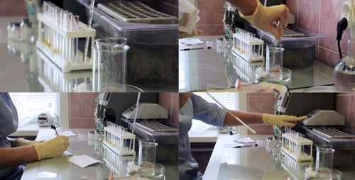 Scientist Working in Lab with Test Tubes