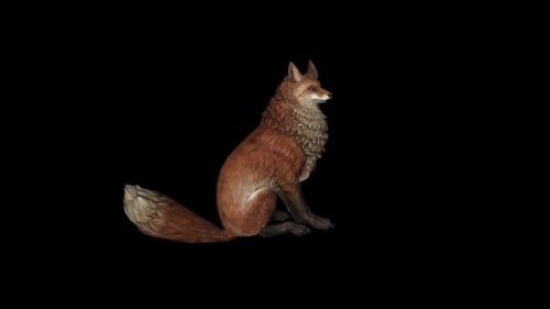 Animated Illustrated Fox Character Walking and Howling