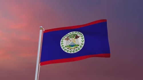 Belize National Flag Waving in Realistic Animation