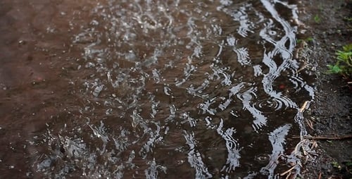 Raindrops On The Ground