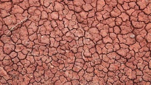Dry Red Cracked Earth Texture