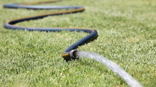 Garden Hose 1