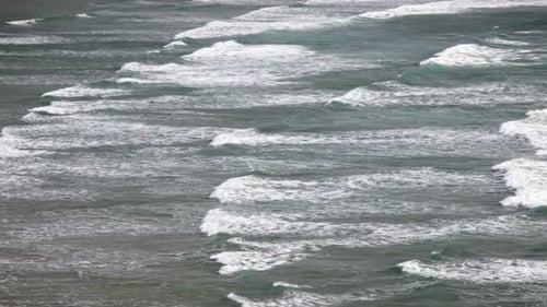 Oregon Coast 1