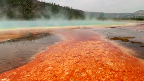 Bunte Bakterienmatte rund um Grand Prismatic Spring 1