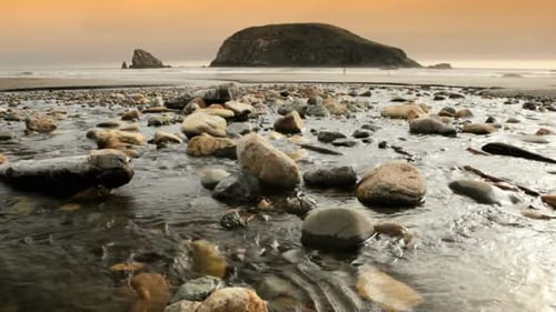 Oregon Coast 20