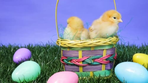 Korb für Ostern