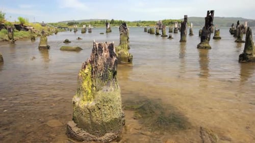 Pier Pilings 2