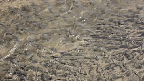Water Gently Flows over Rippled Beach Sand