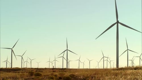 Wind Turbine Field