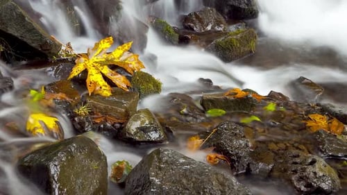 Zeitraffer, Rauschendes Wasser 2