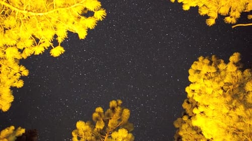 Night Sky, Time Lapse
