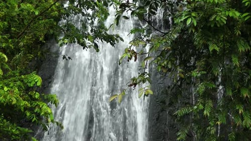 Waterfall In Rainforest 1