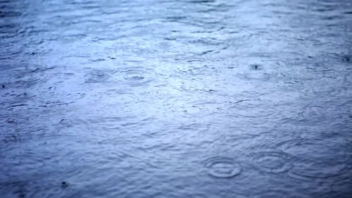 Raindrops Falling on Tranquil Waters Surface
