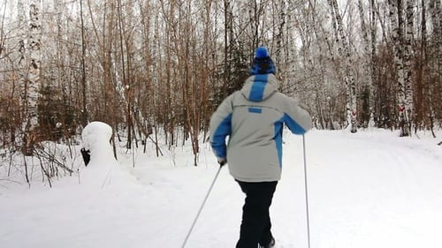Cross Country Skiing Through a Snowy Winter Forest