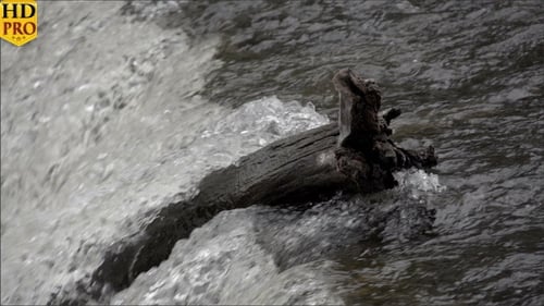 Water Rushing on the River