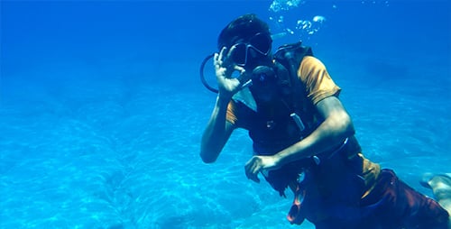 Diver