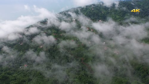 Luftflug über Wald auf Wolken Nebel 2