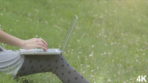Using Laptop On Grass