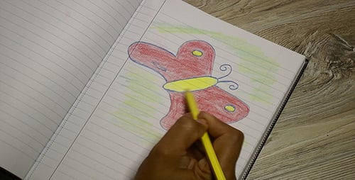 Hand Drawing Butterfly in Notebook With Colored Pencil