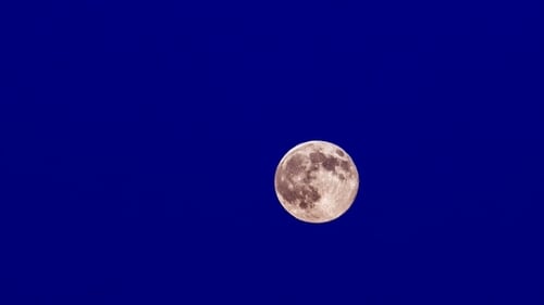 Full Moon Glowing in Dark Blue Sky