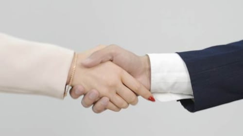 Business Hand Shake, Welcoming Partner