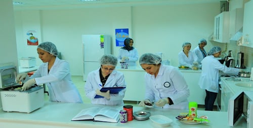 Laboratory 1
