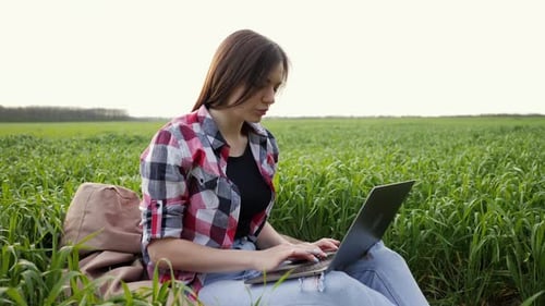 Woman Farmer Working at Laptop in Green Wheat Field Smart Modern Agronomist