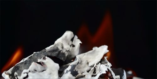 Papier 7