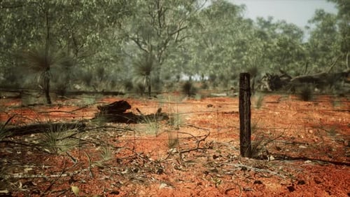 Rural Farm Boundary Fencing in Poor Condition and Long Dead Dry Grass