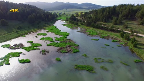 Aerial Flying Over Creek, Swamp and Reeds 1