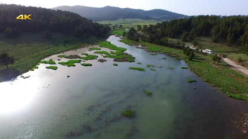 Aerial Flying Over Creek, Swamp and Reeds 3