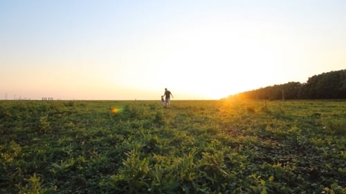 Father And His Son Laying In The Park