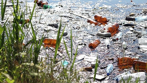 Contaminación ambiental del lago