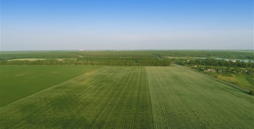Scenic Aerial View of Green Agricultural Field