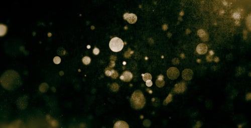 Dynamic Shimmering Bokeh Particles Abstract Motion Background