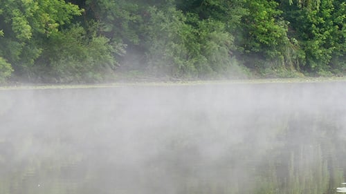 Morning Mist On The River