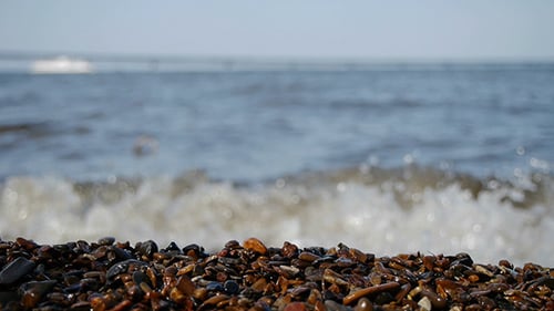 Seashore 4