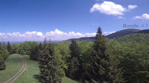 Green Forest Aerials