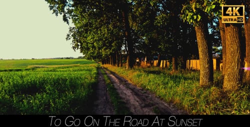 To Go On The Road At Sunset 4