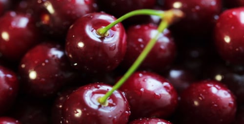 Cerises mûres tournantes 9