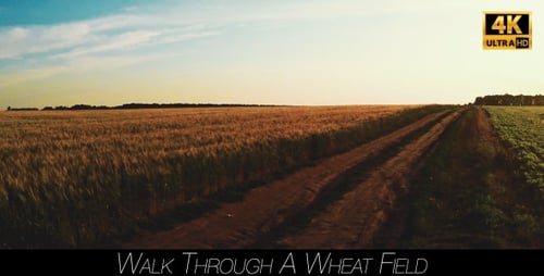 Walk Through A Wheat Field