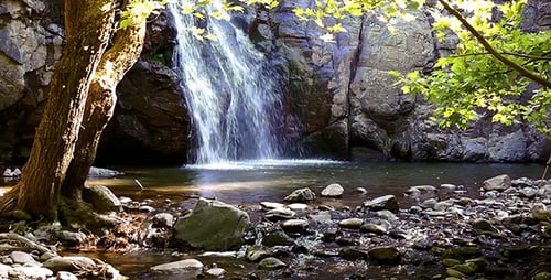 Waterfall in the Forest
