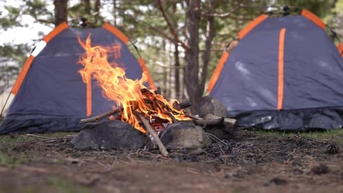 Campfire Burning Brightly in Forest with Tents