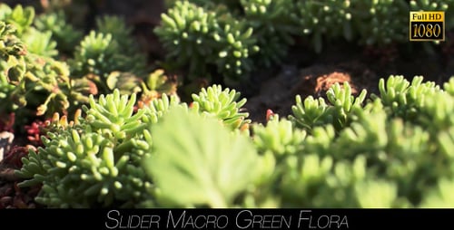 Green Flora