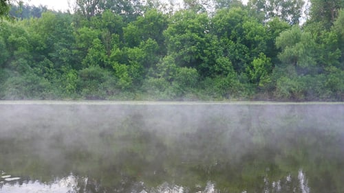 Morning Mist On The River