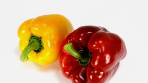 Red and Yellow Bell Peppers on a White Background