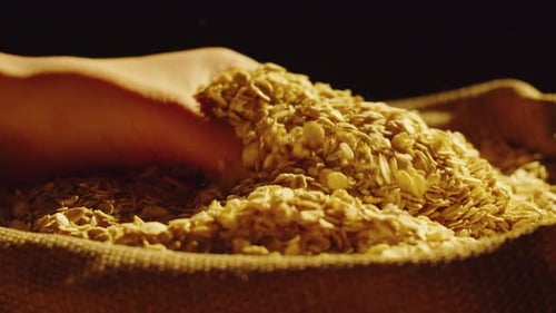 Hand Holds Oat Flakes in Burlap Sack