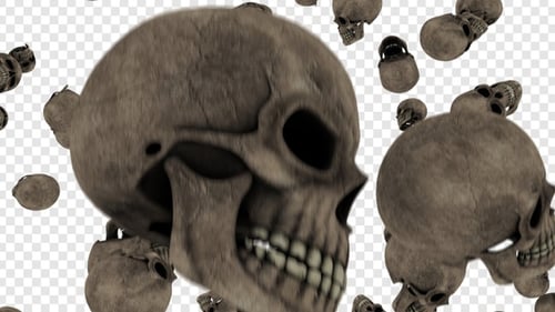 Falling 3D Skulls Halloween Overlay Animation