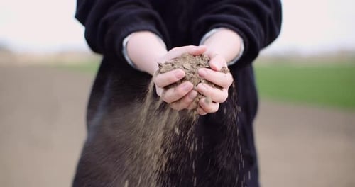 Agriculture, Soil, Farmer Examining Soil in Hands