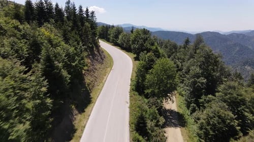 Flying Forest Road